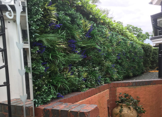 hedge created using artificial green wall panels